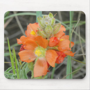 F40 Orangefarbene Wildblumen Mousepad
