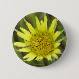 F41 Gelbe Wildblume Ziegenbart Button