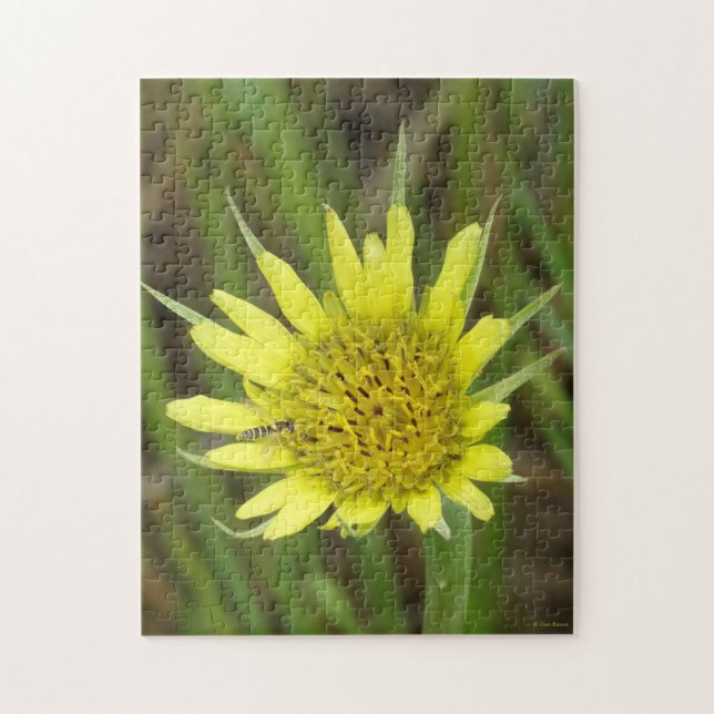 F41 Gelbe Wildblume Ziegenbart Puzzle (Vertikal)