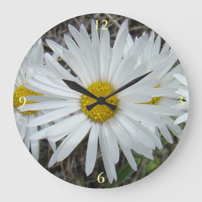 F42 Weiße Wildblumen glatter Aster Große Wanduhr (Vorderseite)