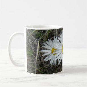 F42 Weiße Wildblumen Glatter Aster Kaffeetasse