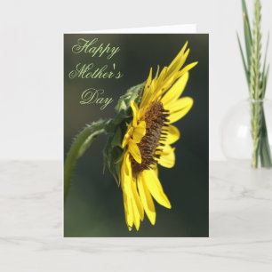 F43 Gelbe Wildblume Black-eyed Susan Karte