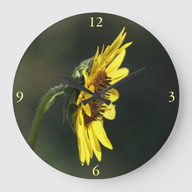 F43 Gelbe Wildblume Schwarz-mit Augen Susan Große Wanduhr (Vorderseite)