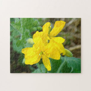 F44 Gelbe Wildblumen Wilder Senf Puzzle