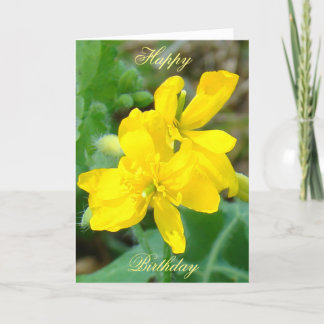 F44 Gelbe Wildblumen WildSenf Karte