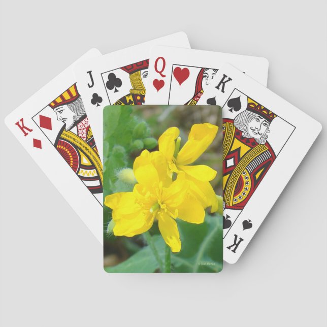 F44 Gelbe Wildblumen WildSenf Spielkarten (Rückseite)