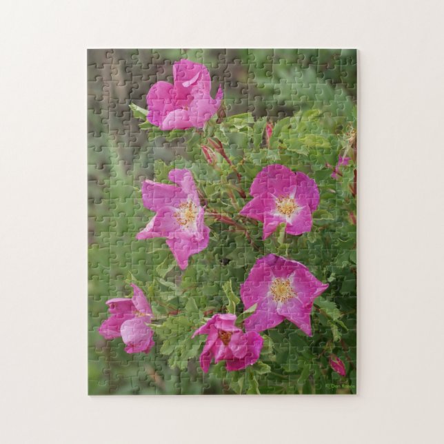 F46 Wilde Rose Puzzle (Vertikal)