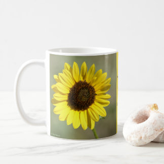 F47 Gelbe Wildblume Gemeinsame jährliche Sonnenblu Kaffeetasse
