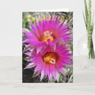 F5 Ball Cactus Blume "Escobaria vivipara" Karte