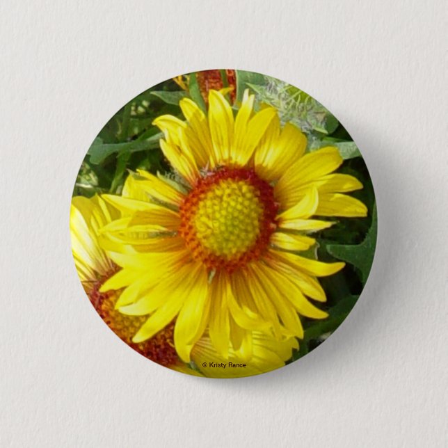 F6 Gelbe Wildblume Gaillardia Button (Vorderseite)