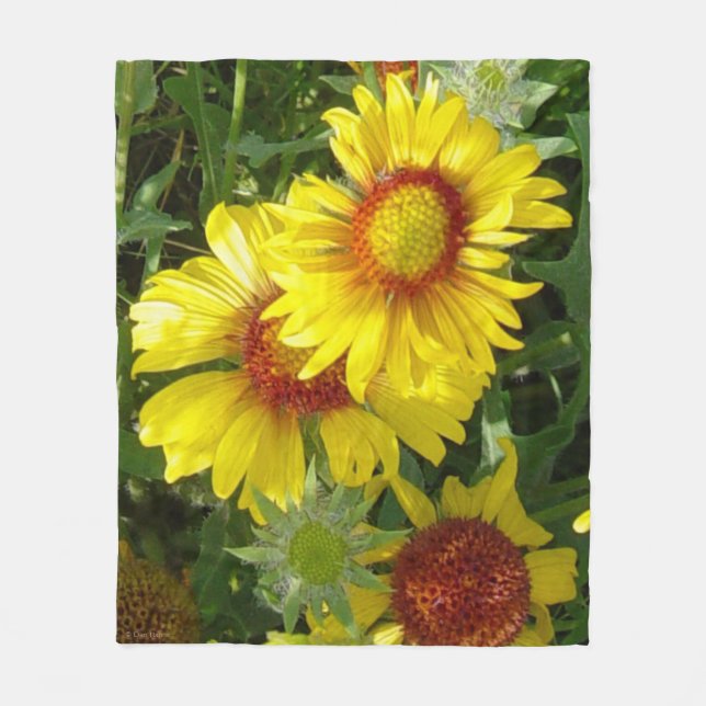 F6 Gelbe Wildblumen Gaillardia Fleecedecke (Vorderseite)