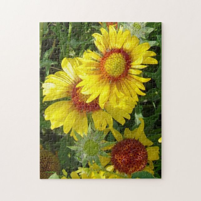 F6 Gelbe Wildblumen Gaillardia Puzzle (Vertikal)