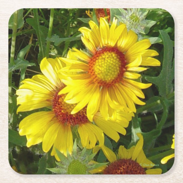 F6 Gelbe Wildblumen Rechteckiger Pappuntersetzer (Vorderseite)