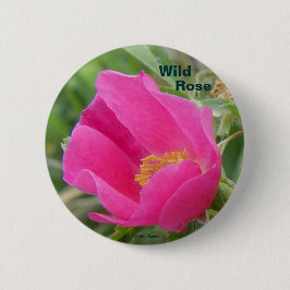 F7 Alberta Wild Rose Button