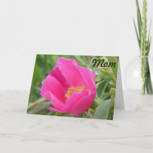 F7 Wilde Rose Karte