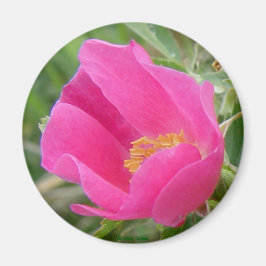 F7 Wilde Rose Magnet