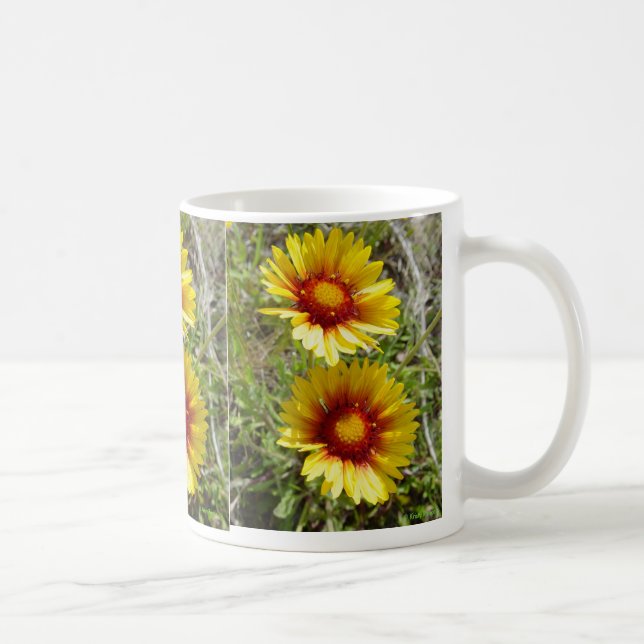 F8 Gelbe Wildblume Gaillardia Tasse (Rechts)