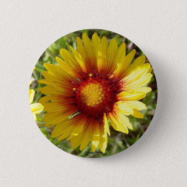 F8 Gelbe Wildblumen Gaillardia Button (Vorderseite)