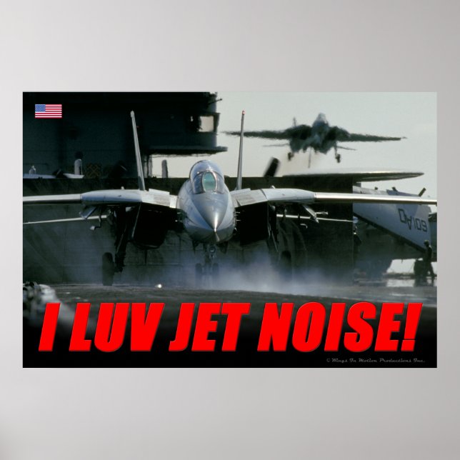 F-14 Jet Noise Poster (Vorne)