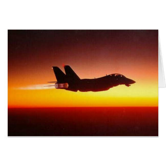 F-14 TOMCAT IN NACHBURNER