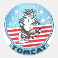 F-14 TOMCAT-JET-KAMPFSCHNITTSTECKER