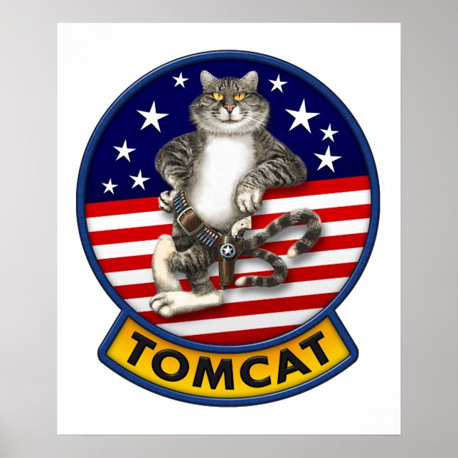 F-14 Tomcat Mascot Poster (Vorne)