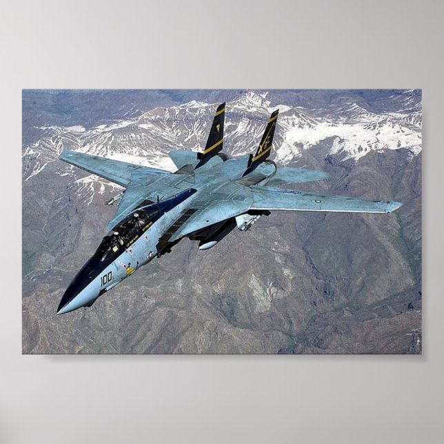 F-14 Tomcat mit Flügeln ohne gekehrtes Poster (Vorne)