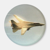 F-14 TOMCAT MIT VAPOR