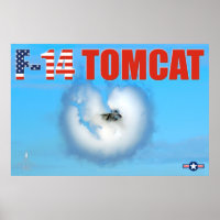 F-14 TOMCAT