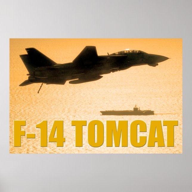 F-14 TOMCAT POSTER (Vorne)