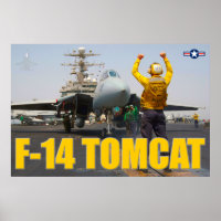 F-14 TOMCAT
