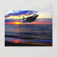 F-14 TOMCAT