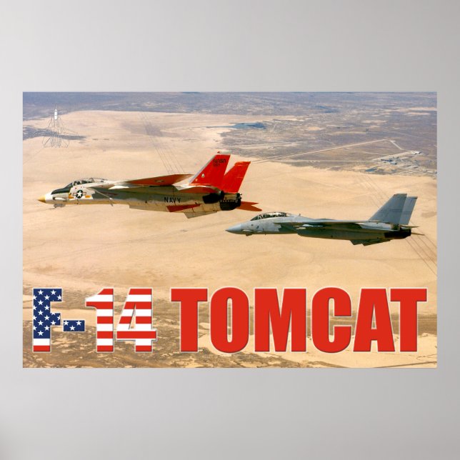 F-14 TOMCAT "WINGMAN" POSTER (Vorne)