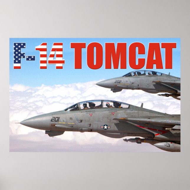 F-14 TOMCAT "WINGMAN" POSTER (Vorne)