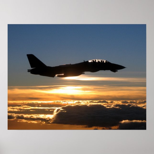 F-14D Tomcat Poster (Vorne)
