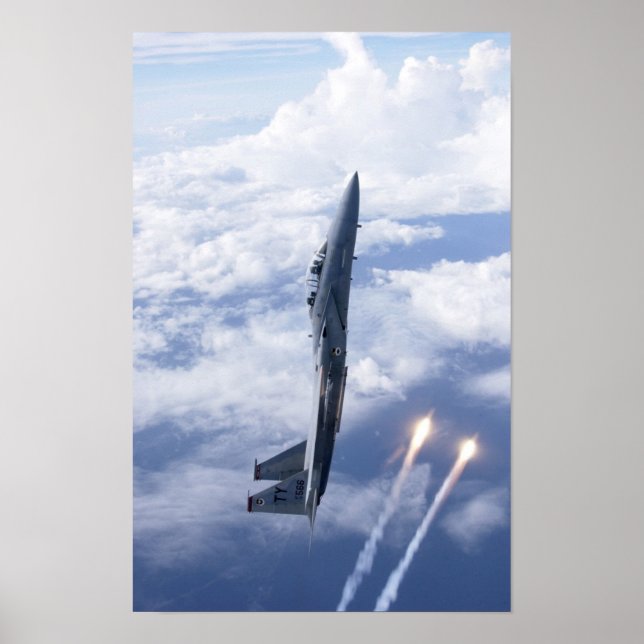 F-15 Adler Poster (Vorne)