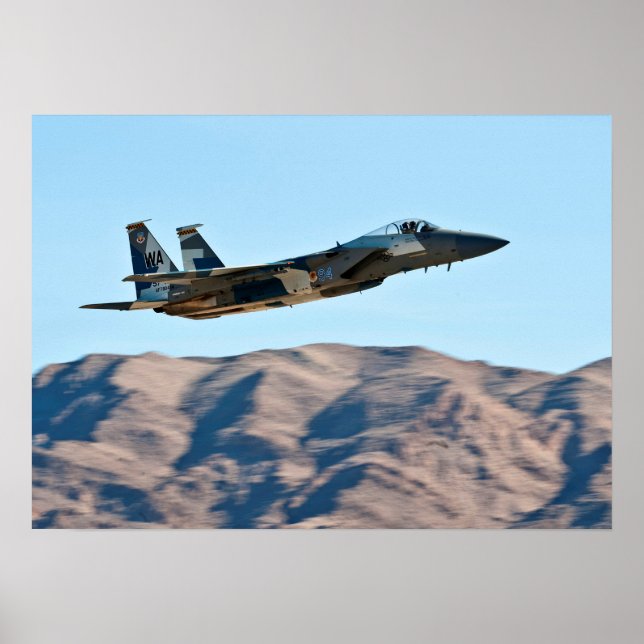 F-15-Adlerflugzeug Poster (Vorne)