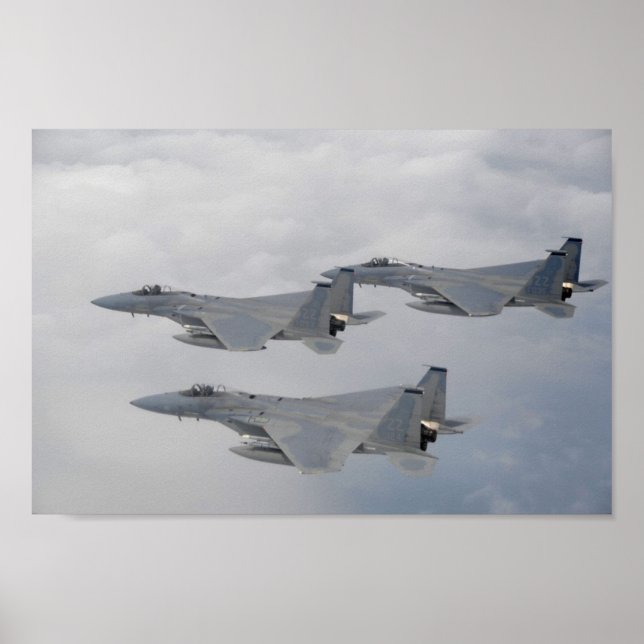 F-15-Adlerflugzeug Poster (Vorne)