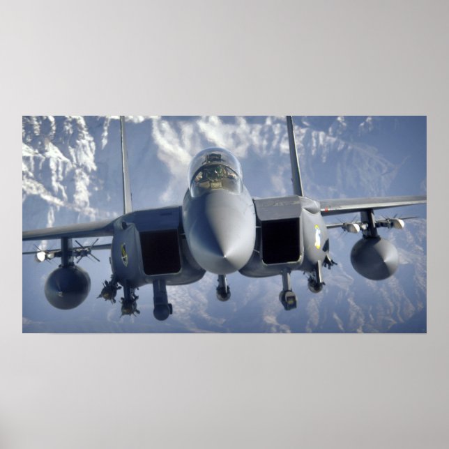 F-15-Adlerflugzeug Poster (Vorne)