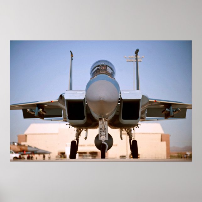 F-15-Adlerflugzeug Poster (Vorne)