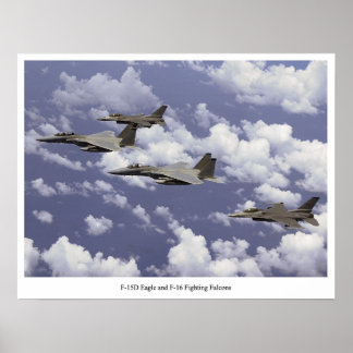 F-15D Adler und F-16 Falken bekämpfen Poster