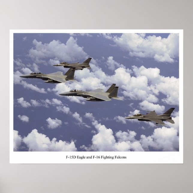 F-15D Adler und F-16 Falken bekämpfen Poster (Vorne)