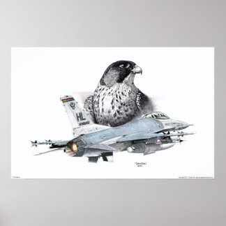 F-16 Falken und Falken Poster
