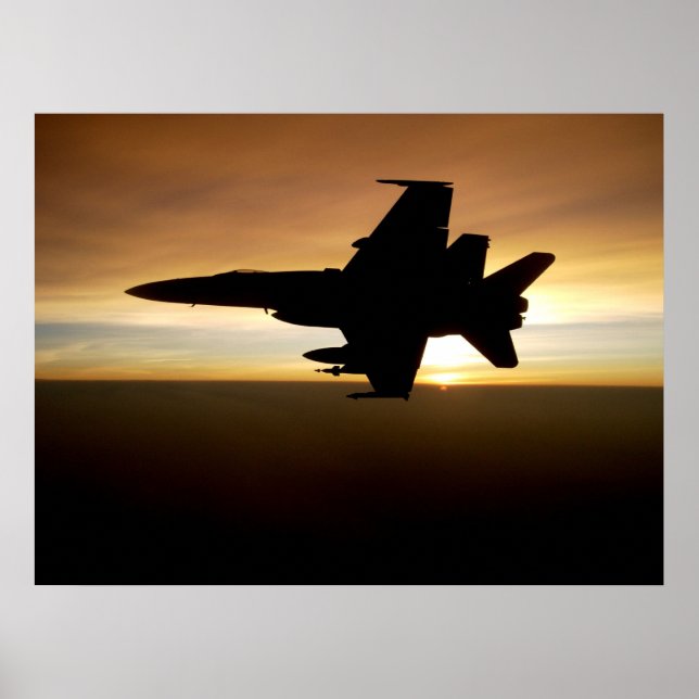 F/A-18 Hornet Poster (Vorne)