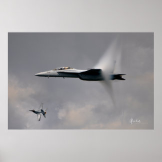 F/A-18F im Flug Poster