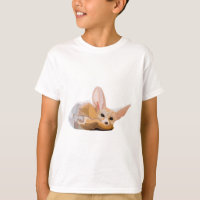 F ist für Fennec Fox