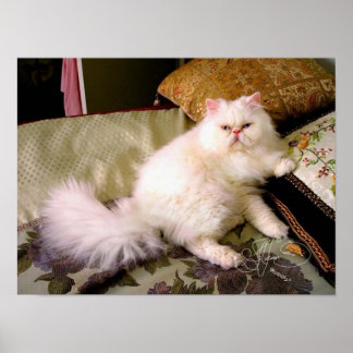 faaabuuuuloussss!!!! poster