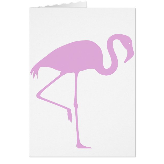 Fabelhafter rosa Flamingo-Gewohnheits-freier Raum (Vorne)