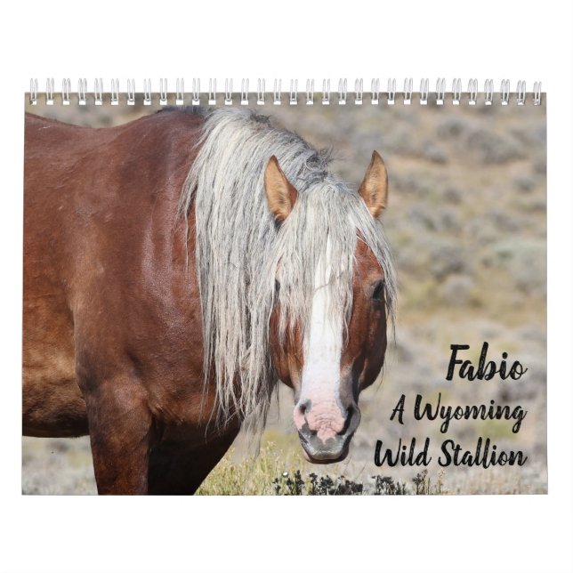 Fabio A Wild Wyoming Stallion Kalender (Titelbild)