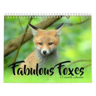 Fabulous Foxes 2025 Kalender